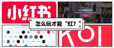 link (1).jpg link (1).jpg