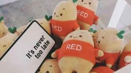 小紅書達人誤區