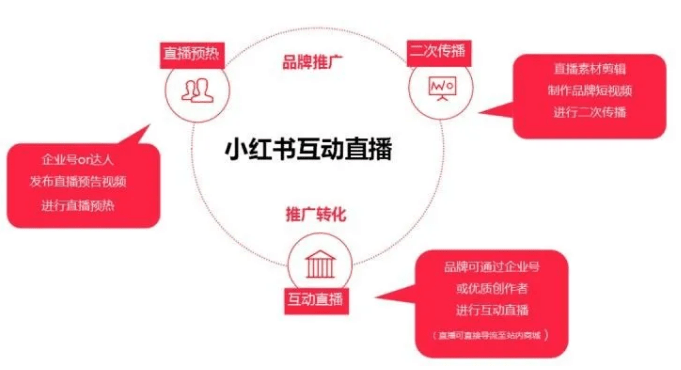 小紅書直播 小紅書直播