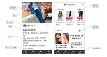 小紅書種草 小紅書種草