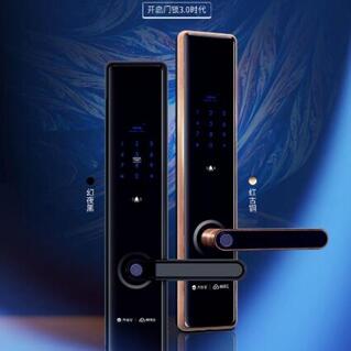 國產(chǎn)智能鎖