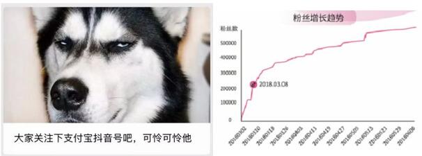 一條抖音為品牌帶來2.7億次曝光？企業抖音藍V最全攻略！