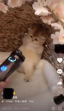 再來一份抖音冷啟動做號養號經驗！ 微商引流 小視頻 抖音 經驗心得 第9張