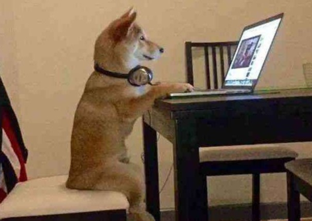 為什么越來越多的人熱衷于在抖音追劇？