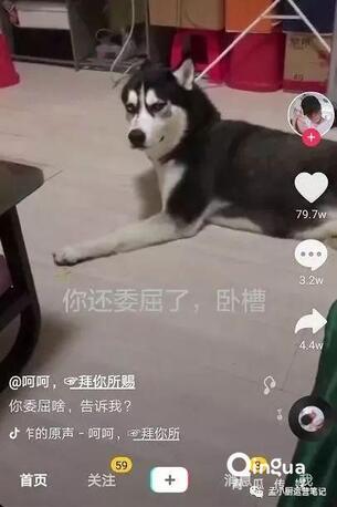 怎么做抖音?抖音6種運營推廣技巧!