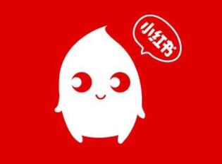 如何策劃一場高效益的小紅書推廣？