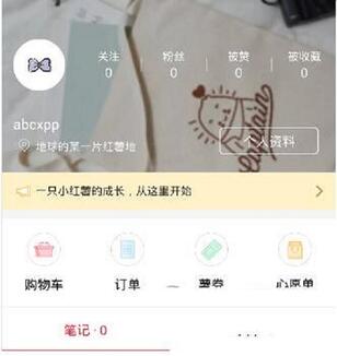 小紅書上如何看物流?怎么看不見(jiàn)?小紅書物流延遲更新怎么回事?