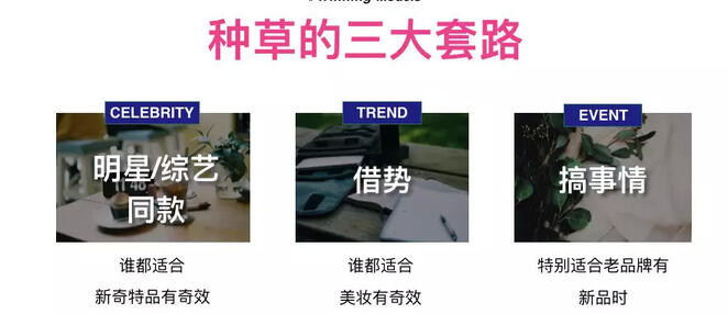 玩轉社交電商,小紅書種草六五攻略 玩轉社交電商,小紅書種草六五攻略