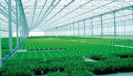 MBEW_O%S5)M)JX3~R$K9WAC.png MBEW_O%S5)M)JX3~R$K9WAC.png